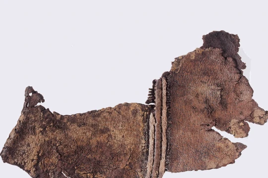 Hai mảnh da được khâu với nhau là trang phục cổ xưa nhất từng được phát hiện. Ảnh: Getty.