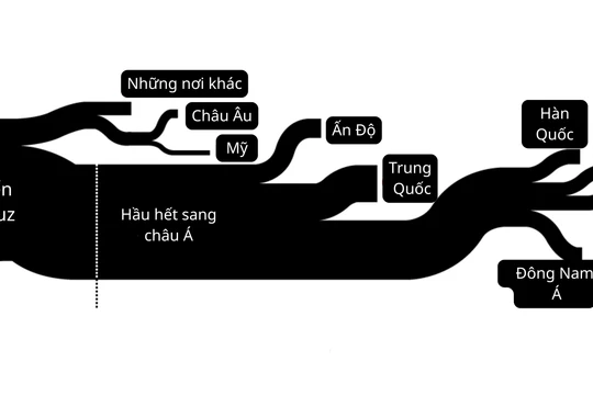 Nghẽn eo Hormuz: Hành trình của dầu mỏ bị đảo lộn như thế nào bởi chiến tranh?