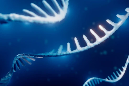 Ảnh minh họa: Getty.