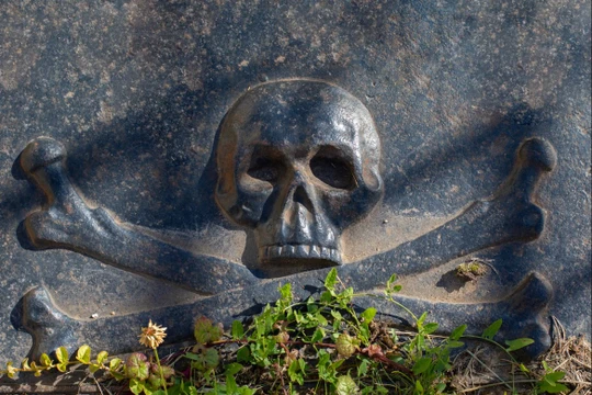 Ảnh minh họa: PM.