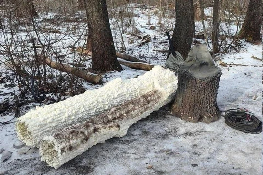 Một cây giả do Nga chế tạo được sử dụng để che giấu ăng-ten liên lạc khỏi sự giám sát của máy bay không người lái Ukraine. Ảnh: EP.