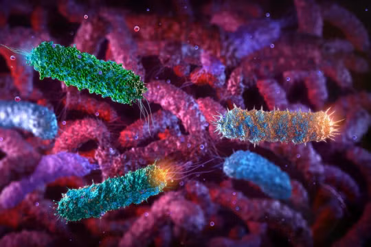 Trong một bài báo được công bố hôm 18/3, các nhà khoa học Trung Quốc cho biết họ đã biến đổi chủng vi khuẩn E coli Nissle 1917 (EcN) để sản xuất chất chống ung thư Romidepsin, được sử dụng làm phương pháp vận chuyển thuốc. Ảnh: Shutterstock.