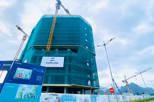 Everland và những thương vụ M&A kín tiếng