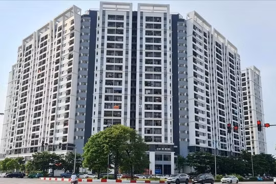 Sự thật thông tin 308 căn nhà ở xã hội gần Vinhomes Riverside được mở bán giá 16 triệu đồng/m2