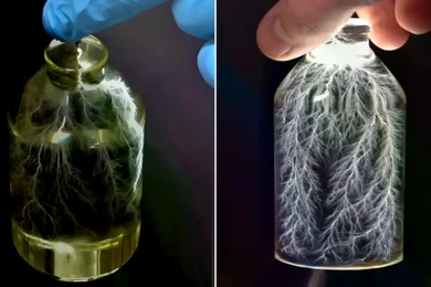 Thí nghiệm bắt gọn tia sét trong chai tạo nên một tác phẩm nghệ thuật bắt mắt. Ảnh: IE.