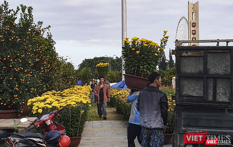 Hoa tiếp tục được chuyển về chợ hoa cho thấy sức mua không hề suy giảm