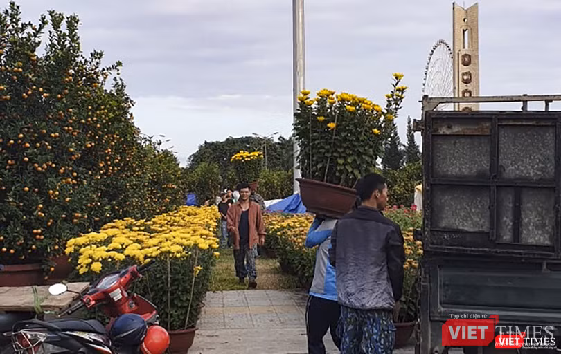 Hoa tiếp tục được chuyển về chợ hoa cho thấy sức mua không hề suy giảm