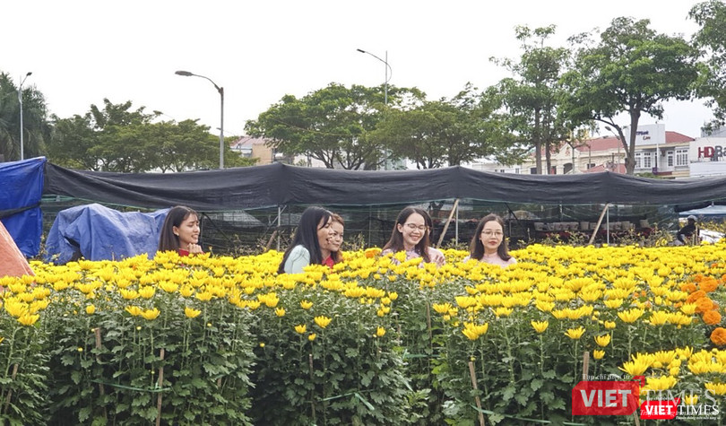 Các thiếu nữ cùng "đọ sắc" với hoa xuân