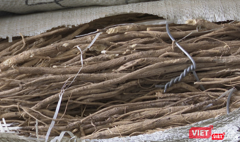 Cận cảnh một loại thảo dược được phát hiện trong container khai bác là rau củ quả