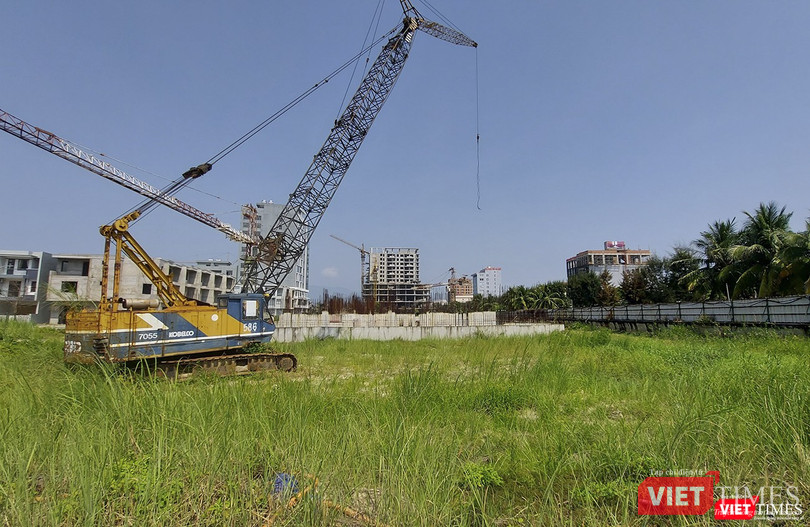 Một góc khác để cỏ mọc um tùm