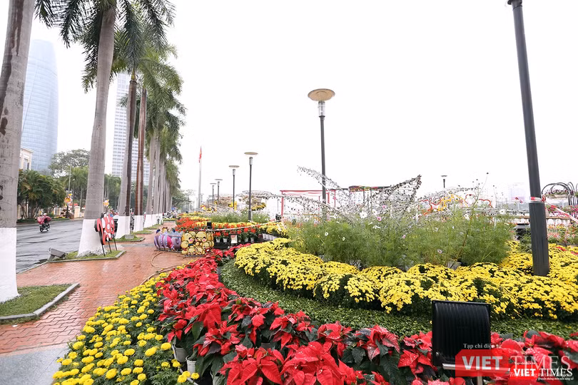 Tại các khu vực khác như trước Trụ sở HĐND TP Đà Nẵng cũng được trang trí đẹp mắt