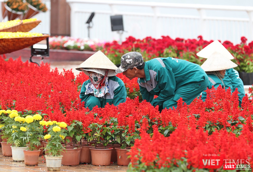 Công nhân đang nỗ lực hoàn thiện đường hoa