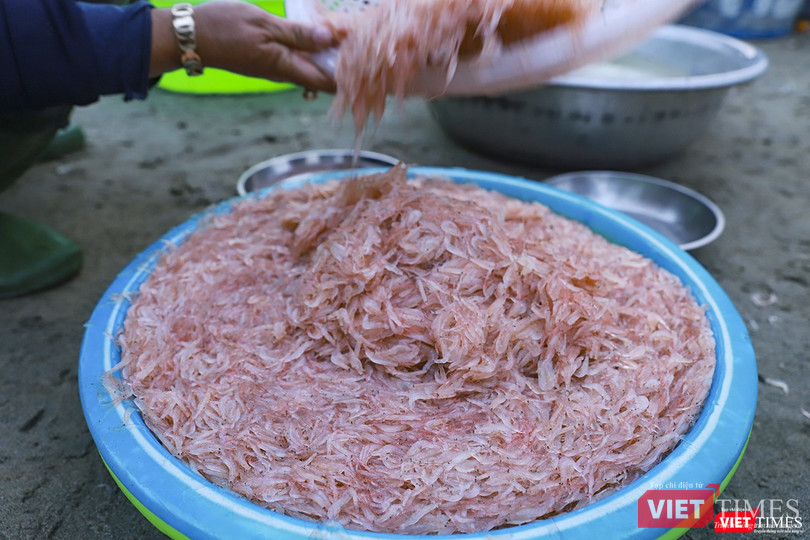 Ruốc đánh bắt quanh chân bán đảo Sơn Trà được đánh giá là đặc sản khó cưỡng với nhiều cách chế biến Ruốc đánh bắt quanh chân bán đảo Sơn Trà được đánh giá là đặc sản khó cưỡng với nhiều cách chế biến