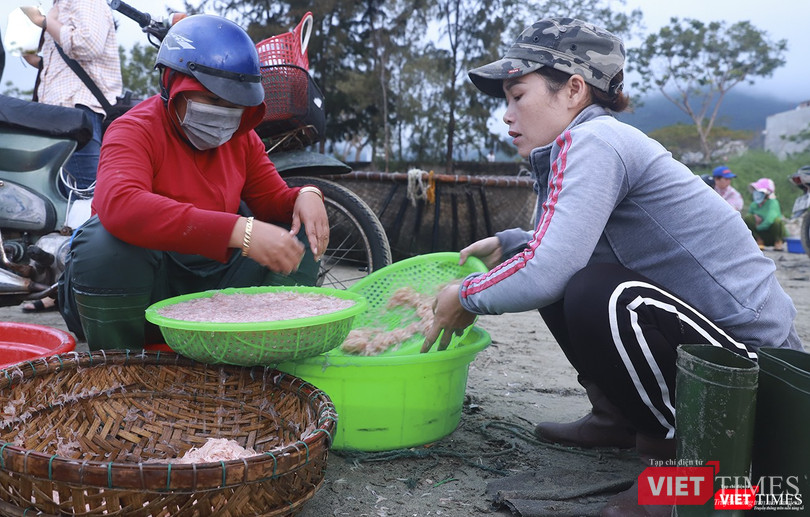 Ruốc tươi được sàn rửa sạch trước khi bán đến tay người mua Ruốc tươi được sàn rửa sạch trước khi bán đến tay người mua