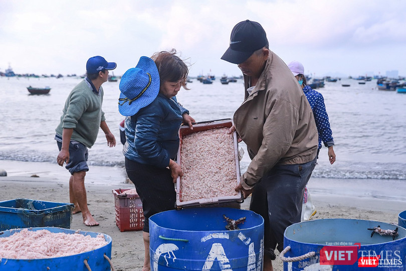Cho vào thùng để sớm chuyển ra chợ Cho vào thùng để sớm chuyển ra chợ