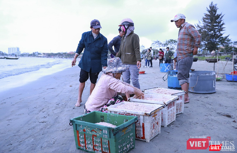 Thương lái thu mua ngay tại chân sóng Thương lái thu mua ngay tại chân sóng