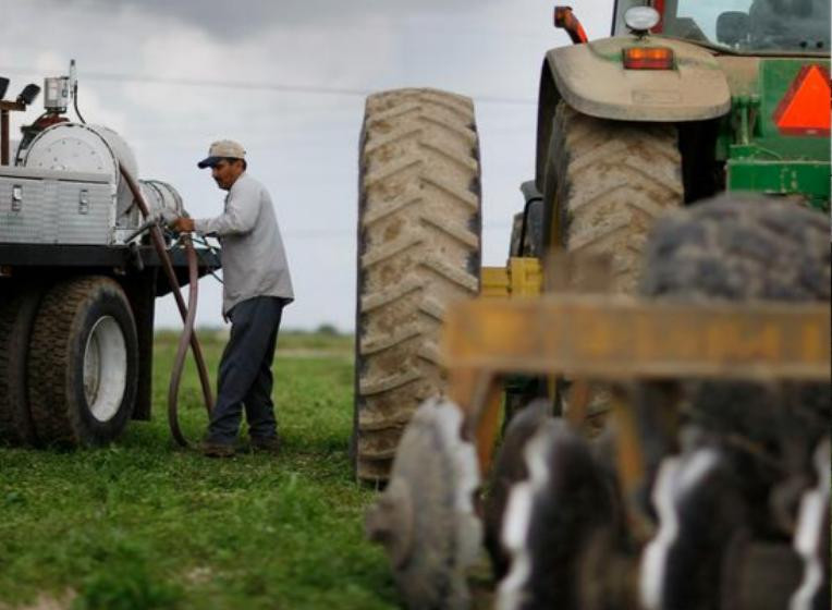 EU có thể tiến hành trợ cấp nông nghiệp như Mỹ. Ảnh: Ifeng.