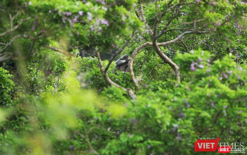 Chốn... "thiên đường"