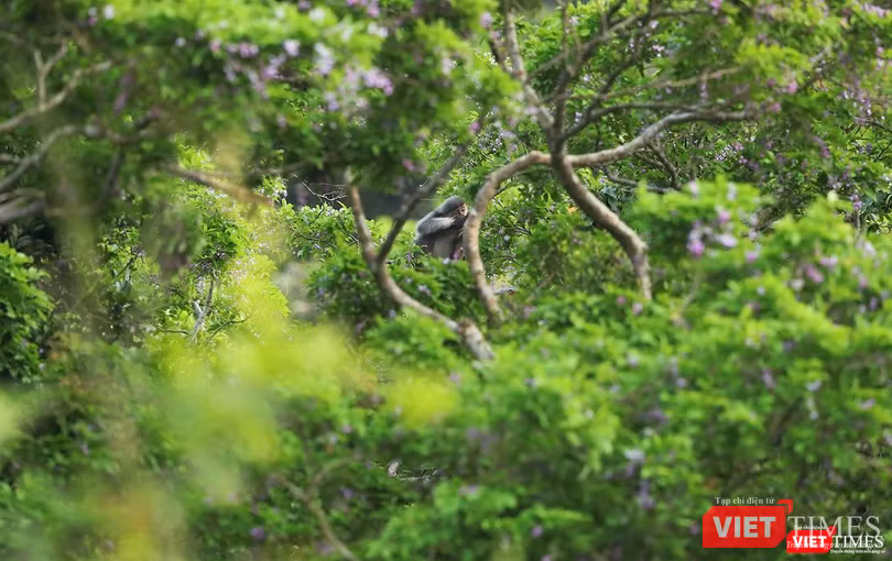 Chốn... "thiên đường" Chốn... "thiên đường"