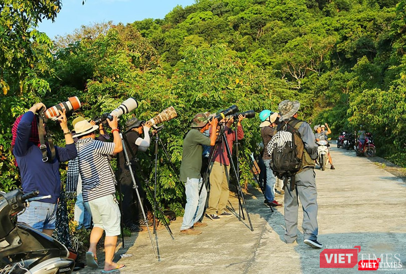 Đây cũng là thời điểm thu hút rất đông giới mê ảnh (ảnh MinhTu)