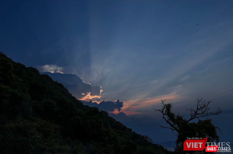 Ánh nắng cuối ngày trên sườn núi Sơn Trà