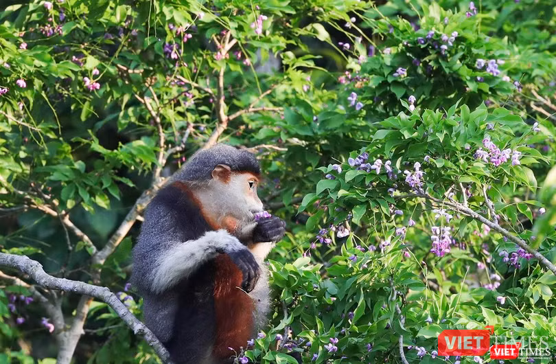 Tận hưởng Tận hưởng