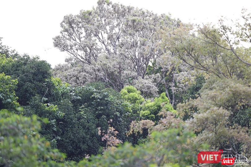 Đẹp khó cưỡng lại