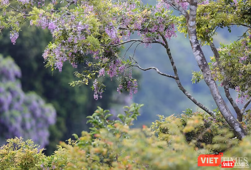 Thác mát vào mùa Thác mát vào mùa