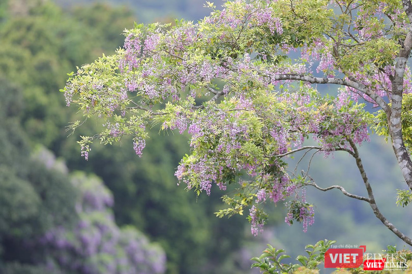 Nhập mô tả ảnh