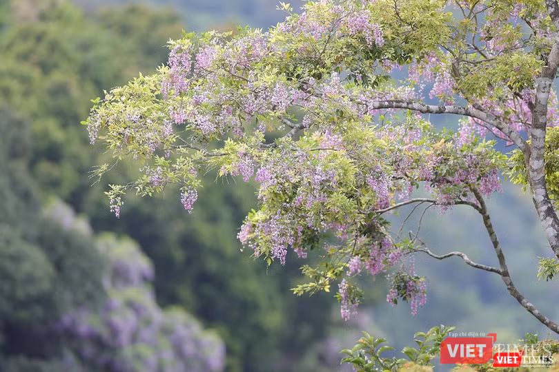 Nhập mô tả ảnh Nhập mô tả ảnh