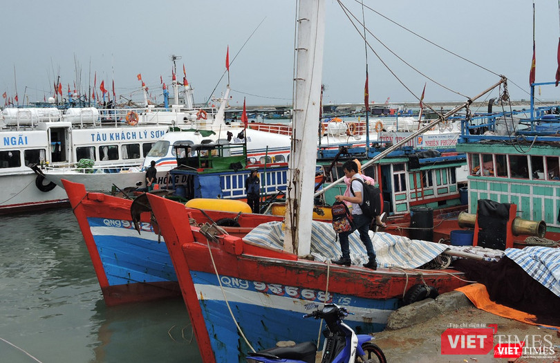 Phó Thủ tướng Chính phủ Trịnh Đình Dũng yêu cầu các lực lượng và các địa phương, bộ ngành liên quan khẩn trương triển khai ứng phó chống bão, cấm tàu thuyền ra khơi
