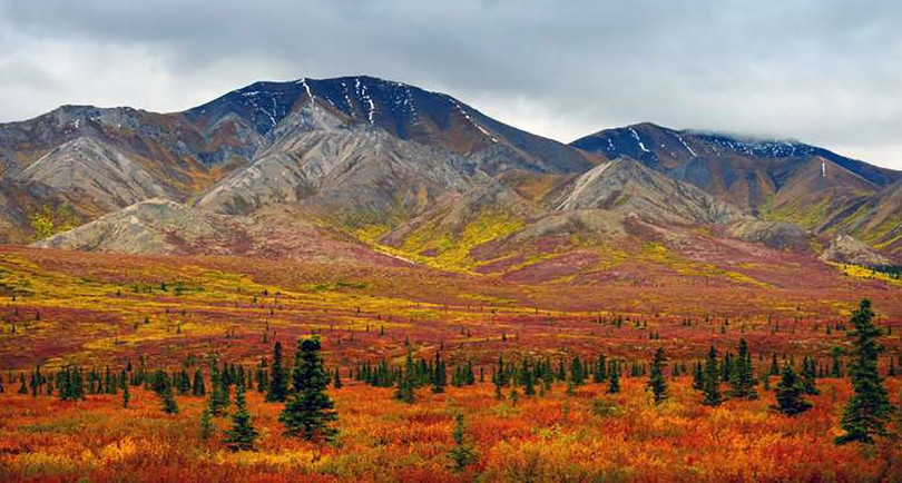 Công viên quốc gia Denali, Alaska, Hoa Kỳ (ảnh Noppawat Tom Charoensinphon)