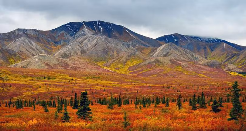 Công viên quốc gia Denali, Alaska, Hoa Kỳ (ảnh Noppawat Tom Charoensinphon)