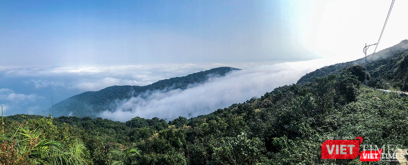 Toàn cảnh dòng "sông mây" trên đỉnh Sơn Trà