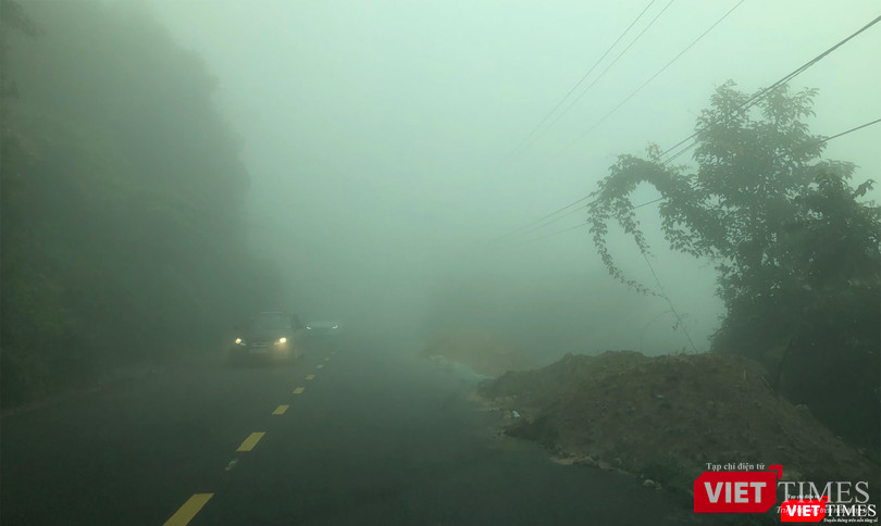 Du khách tiếp tục lên Sơn Trà để chiêm ngưỡng hiện tượng hiếm gặp này