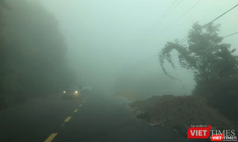 Du khách tiếp tục lên Sơn Trà để chiêm ngưỡng hiện tượng hiếm gặp này