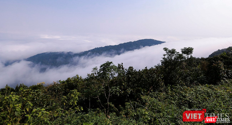 Một góc dòng "sông mây"