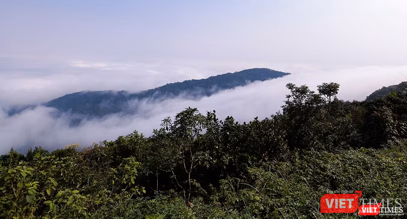 Một góc dòng "sông mây"