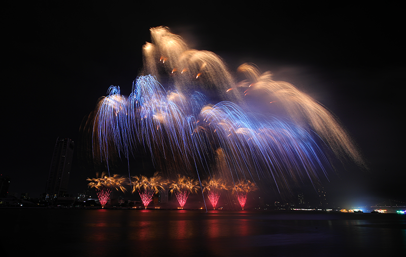 Tân binh đến từ Hàn Quốc khiến khán giả DIFF 2025 phải trầm trồ.