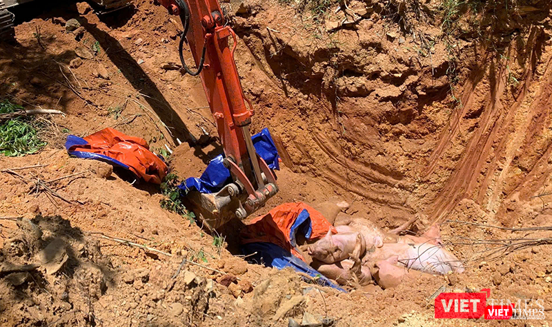 vt_ta lon chau phi 1.png