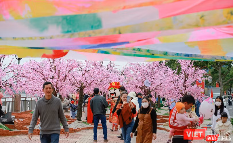 Người dân Đà Nẵng du xuân tại đường hoa Bạch Đằng