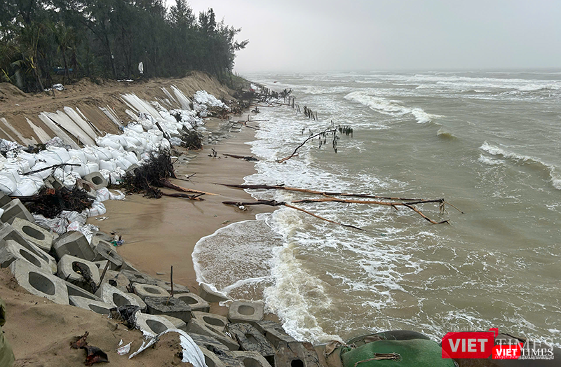 vt_tran hong ha 2.png