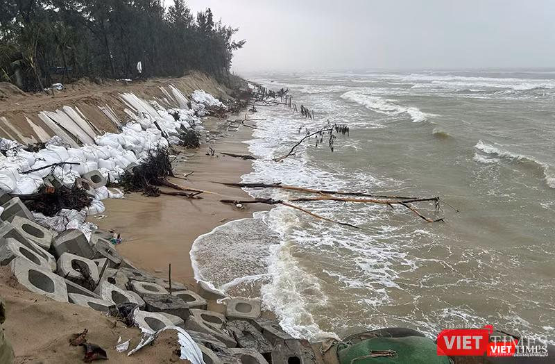 vt_tran hong ha 2.png