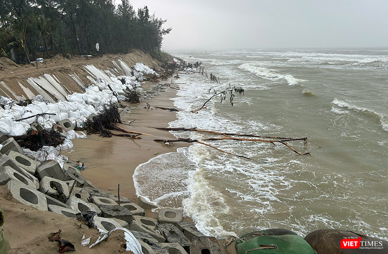 Khu vực bờ biển phường Hội An Tây bị sạt lở nghiêm trọng sau đợt mưa lũ cuối tháng 10, đầu tháng 11/2025.