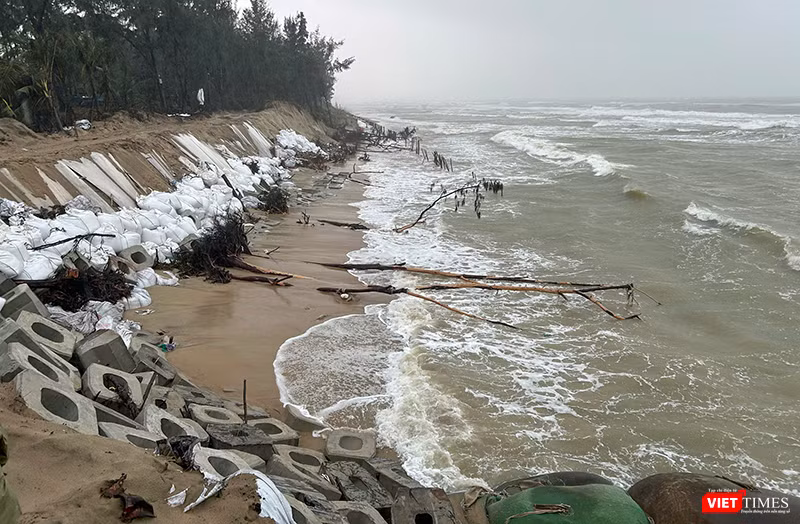 Khu vực bờ biển phường Hội An Tây bị sạt lở nghiêm trọng sau đợt mưa lũ cuối tháng 10, đầu tháng 11/2025.
