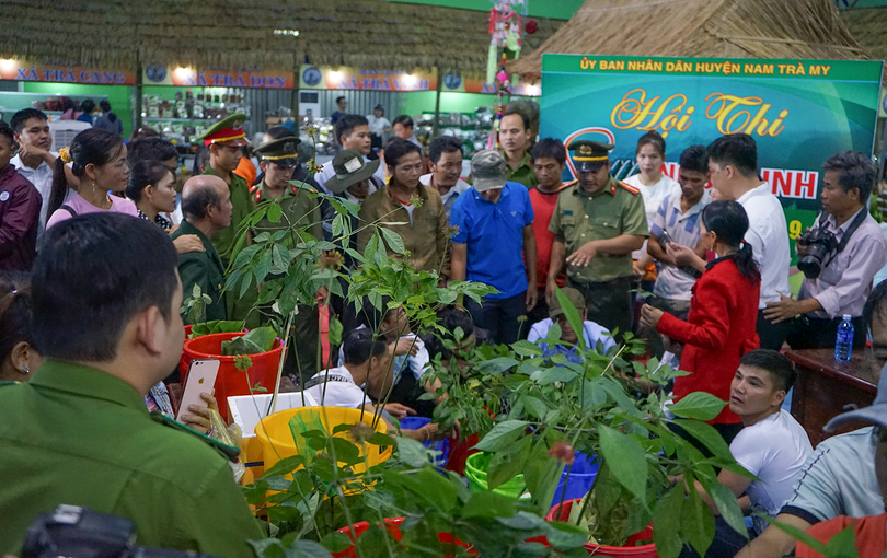 Phiên chợ sâm Ngọc Linh ở Quảng Nam (ảnh CTV)