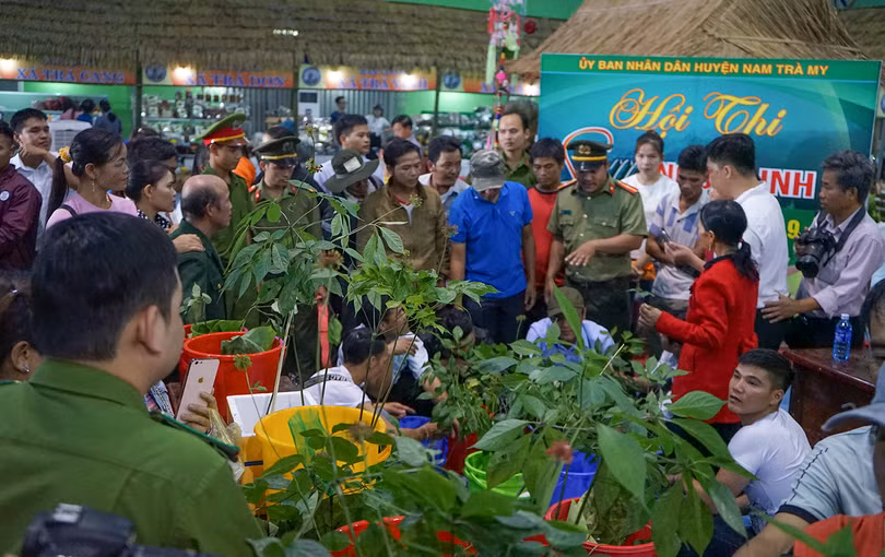 Phiên chợ sâm Ngọc Linh ở Quảng Nam (ảnh CTV)