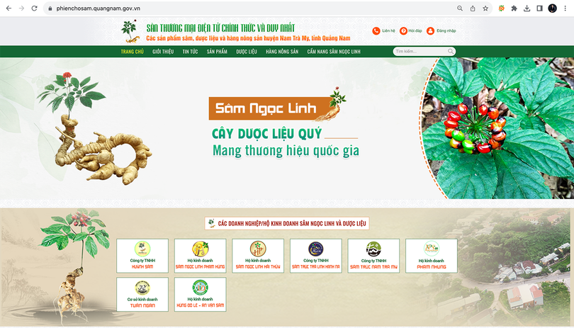Giao diện sàn thương mại điện tử chuyên quảng bá về sâm Ngọc Linh và các sản phẩm dược liệu, nông sản đặc trưng trên địa bàn tỉnh Quảng Nam