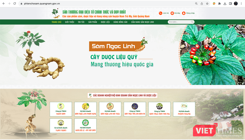 vt_san thuong mai sam ngoc linh.png