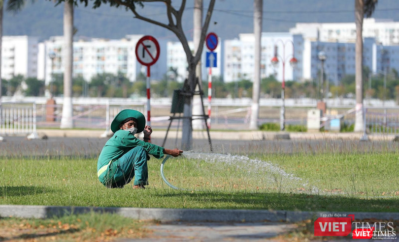 Giữ cho Đà Nẵng luôn xanh